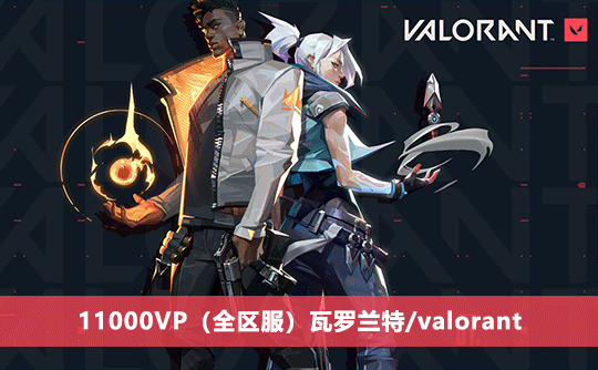11000VP（全区服）上号代充 瓦罗兰特/valorant